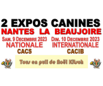 EXPOSITIONS CANINES NATIONALE et INTERNATIONALE 